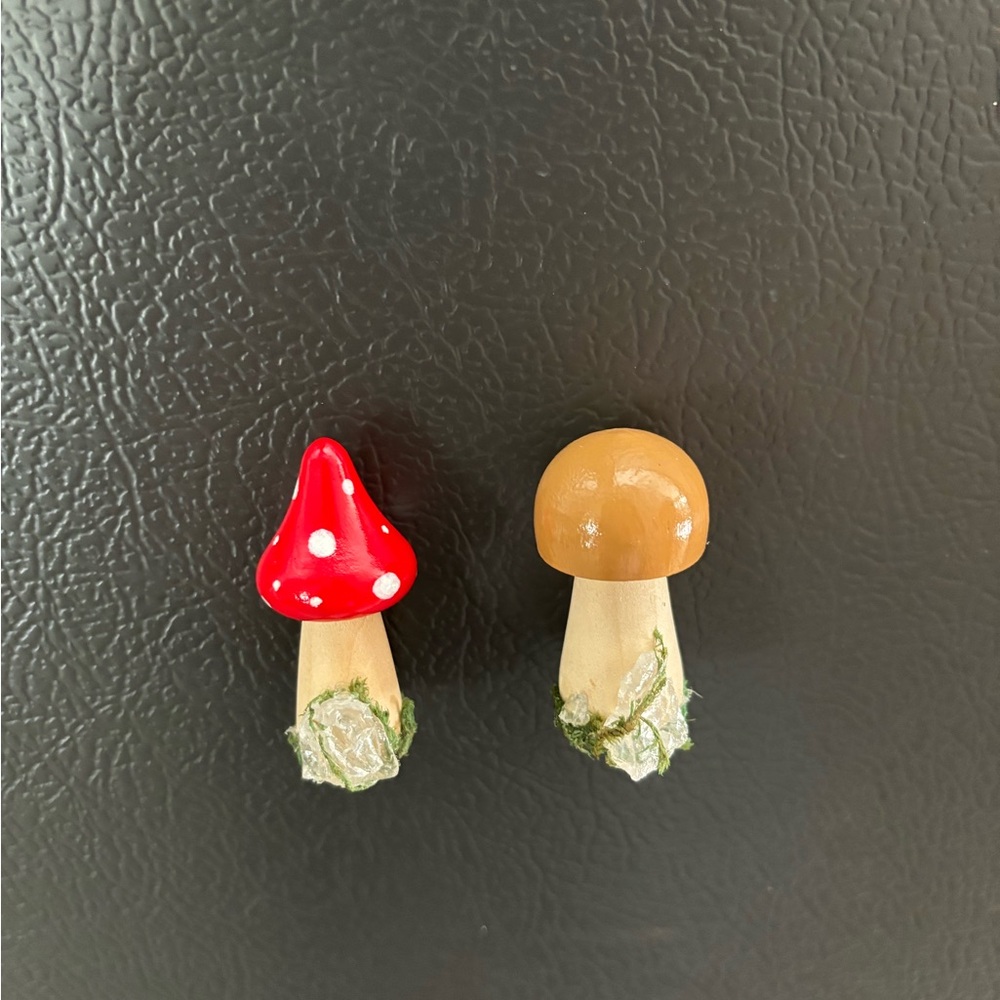 Pick 2 Mushroom Crystal magnets
